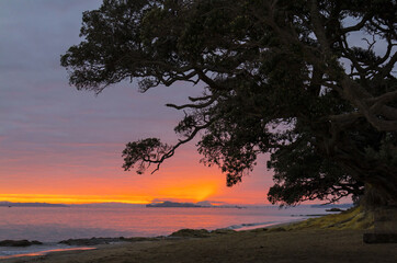 Fototapeta na wymiar Panoramic View at Narrow Neck Beach Auckland, New Zealand; Orange Dusk Colors before Sunrise Time; Fishing Spot Auckland