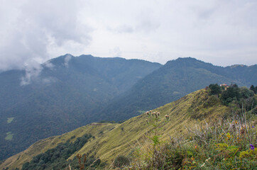 Nature landscape mountain in Nepal autumn Himalayas
