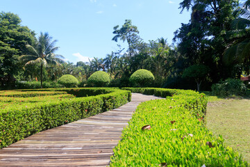 path in the garden