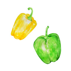 watercolor vegetables big peppers