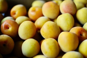 美味しそうな梅