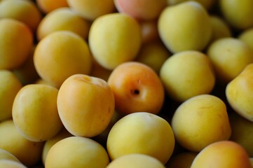 美味しそうな梅