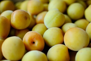 美味しそうな梅