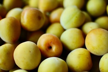 美味しそうな梅