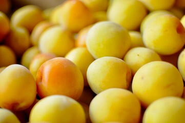 美味しそうな梅