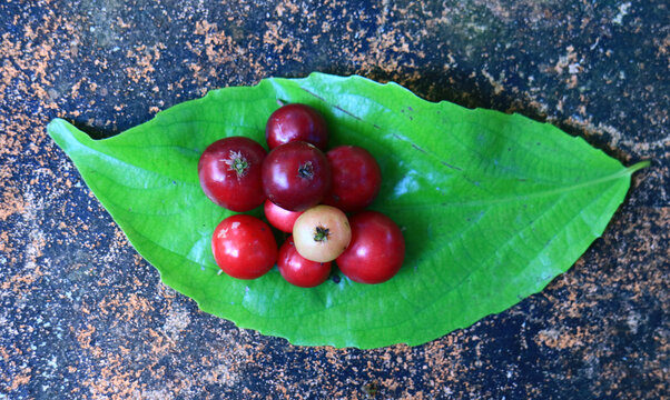 Flacourtia inermis or lovi-lovi on leaf.  