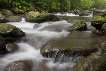 Mountain Stream