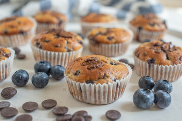 sweet home made chocolate blueberry muffins on a table