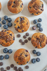 sweet home made chocolate blueberry muffins on a table