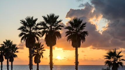 Naklejka na ściany i meble Palm tree on the beach against colorful sunset sky with clouds. Tel Aviv, Israel.