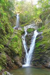 Fototapeta na wymiar 雨乞の滝（あまごいのたき）は、徳島県名西郡神山町にある滝。日本の滝百選、四国のみずべ八十八カ所、とくしま88景、とくしま水紀行50選に選定されている。