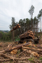swing arm log loader truck on woods pine forest