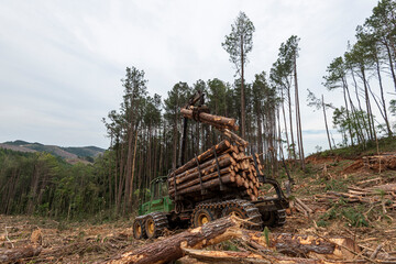 Fototapeta na wymiar swing arm log loader truck on woods pine forest