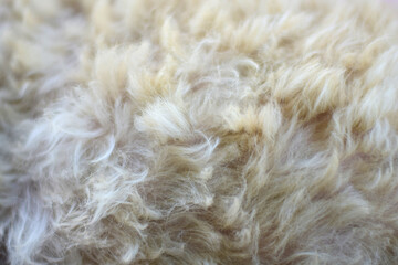 Closer to the fur of the dog used for decoration