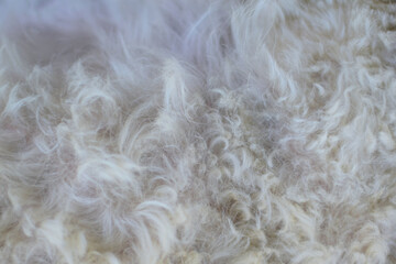 Dog fur is used for decorations and designs.

