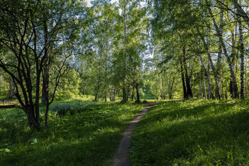 Fototapeta na wymiar Path leading through the park on a summer day