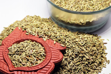 Green Fennel Foeniculum Vulgare isolated on a white background