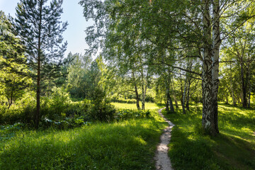 Obraz na płótnie Canvas Path leading through the park on a summer day