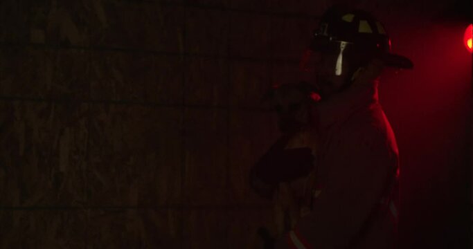 Firefighter resuing small dog - medium shot