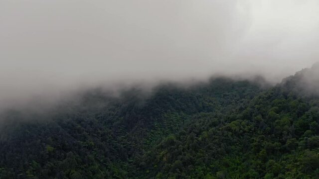 Misty mountains of the coromandel ranges, New Zealand