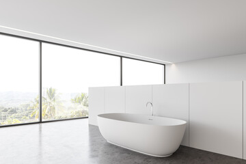 Fototapeta na wymiar Panoramic white bathroom corner with tub