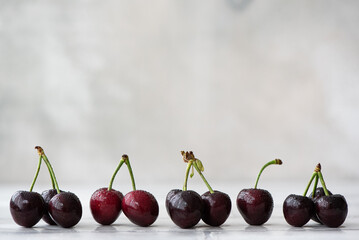 Ripe black cherries on the branches