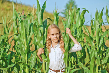 Close-up portrait of  young blonde girl in corn field on summer sunny day. Pretty long-haired blonde girl posing on nature background. Summer vacation in countryside.