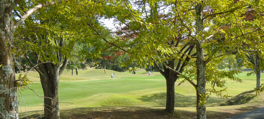 木々の間からひとつ前を行く組のプレーが見えるゴルフコースの光景