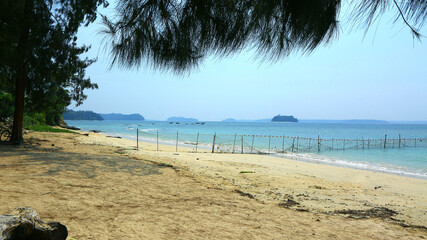 tropical beach with palm trees
