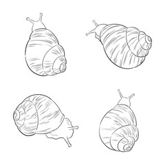 Set of hand-drawn outline vector garden snails. Sketch line drawing isolated on white background. Stylized engraving elements for cosmetic packaging design, logo, card, label, web banner, or print.