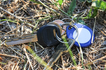 A lost Set of keys to the apartment is lying in the grass. Distraction.