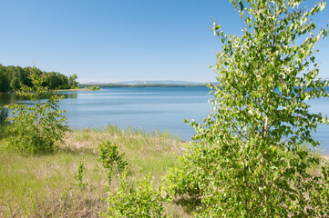 Uvildy lake in summer with green birch trees on its shore, Chelyabinsk region, Russia