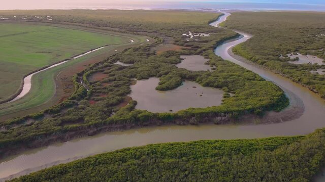 Mangroves and waterways on the Hauraki Plains, New Zealand