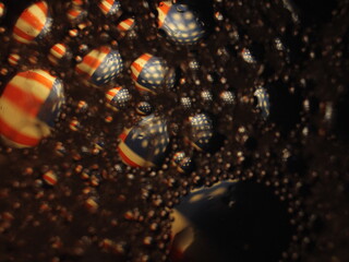 Flag America United States Country Nation Banner Stars Red White