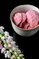 berry ice cream without sugar