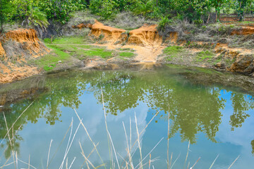 Beautiful Deep Pond In Forest Looking Awesome 01.
