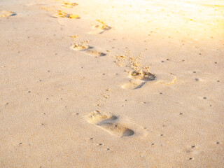 close up footprint on sand at the beach background
