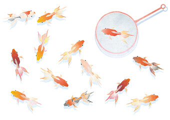 水彩風 紅梅と白梅のセットイラスト Decoration Wall Mural Decorati Eringo