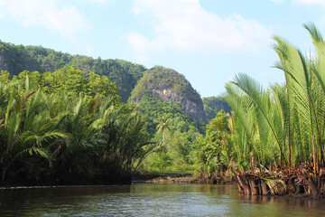Obraz premium view karst mountain in the river