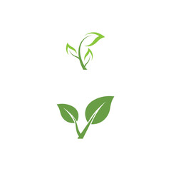 Leaf Logo Template vector symbol
