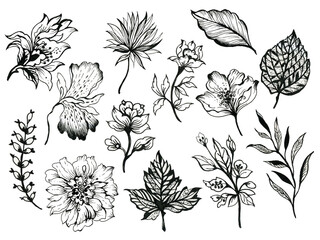Black and White outline elements Floral plants on white Design for home decor, fabric, carpet, wrapping, card