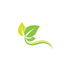 Leaf Logo Template vector symbol