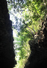 rocks mountain (karst mountain) in the forest