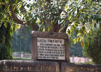 Mahabodhi temple complex in bodh gaya bihar india buddhist pilgrim site