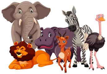 Group of wild animals