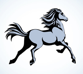 Obraz na płótnie Canvas Galloping horse. Vector drawing icon