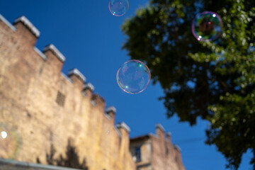 Soap bubbles in the air fly