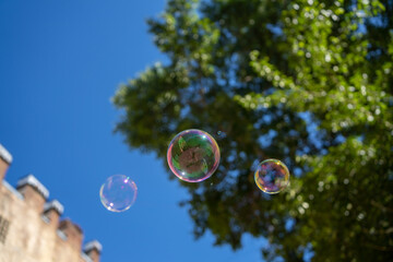 Soap bubbles in the air fly against the background of the sky and green trees