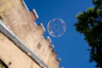 Soap bubbles in the air fly against the background of the sky and green trees