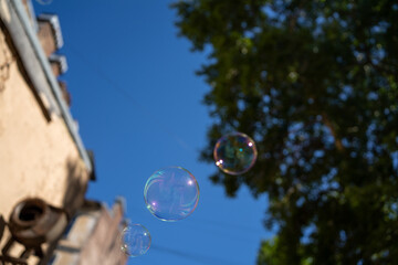Soap bubbles in the air fly against the background of the sky and green trees